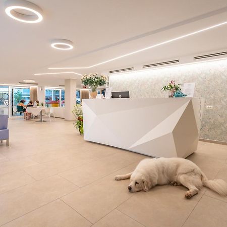 Hotel San Domingo Bellaria-Igea Marina Buitenkant foto