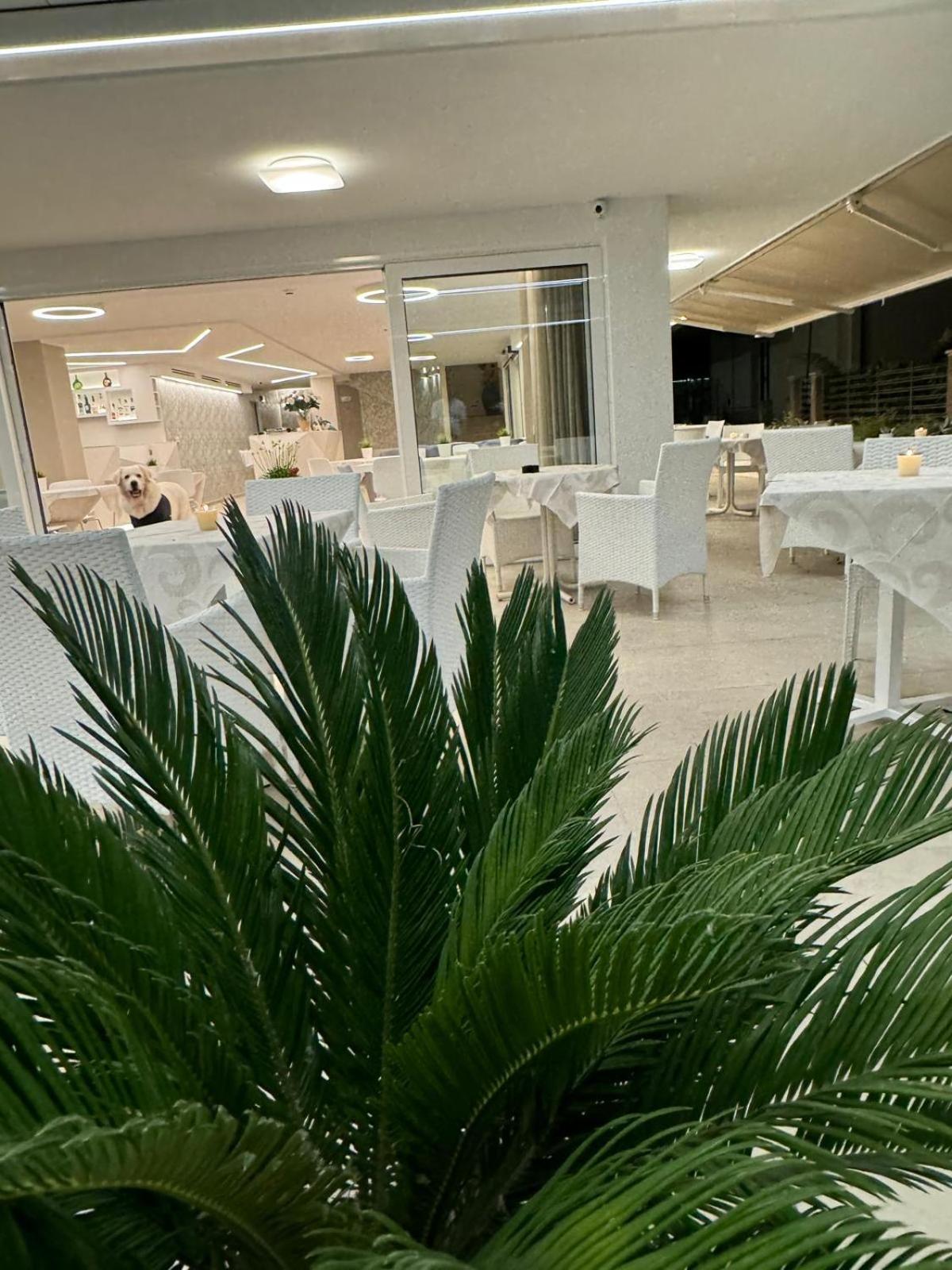 Hotel San Domingo Bellaria-Igea Marina Buitenkant foto