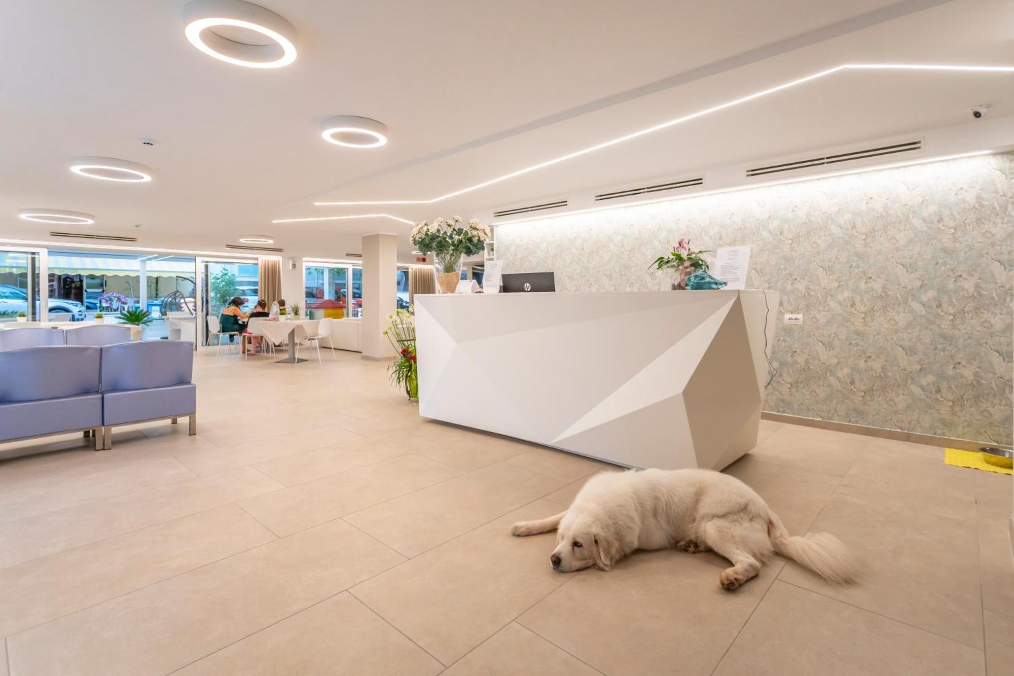 Hotel San Domingo Bellaria-Igea Marina Buitenkant foto